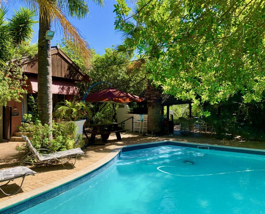 The Little Hideaway Guesthouse Stellenbosch Exterior foto